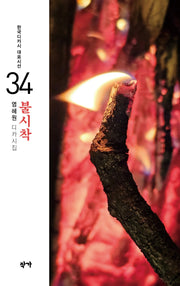 불시착(한국디카시 대표시선 34)(반양장)
