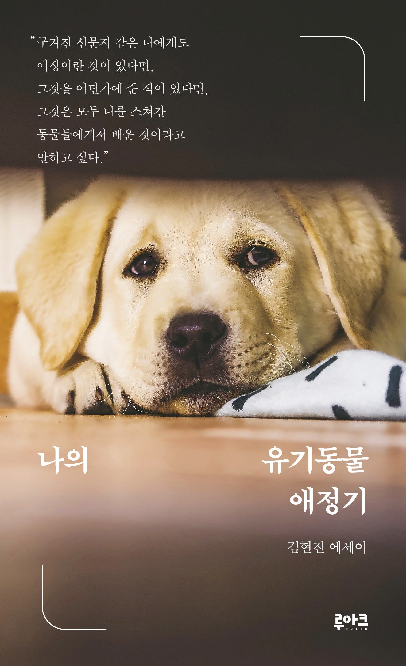 나의 유기동물 애정기