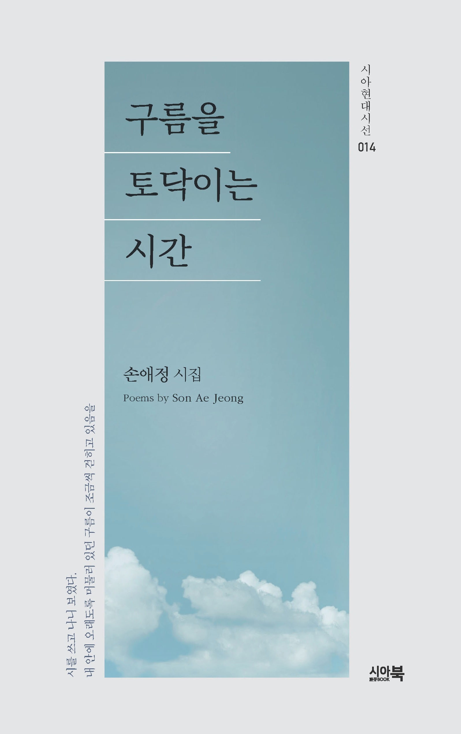 구름을 토닥이는 시간(시아현대시선 14)
