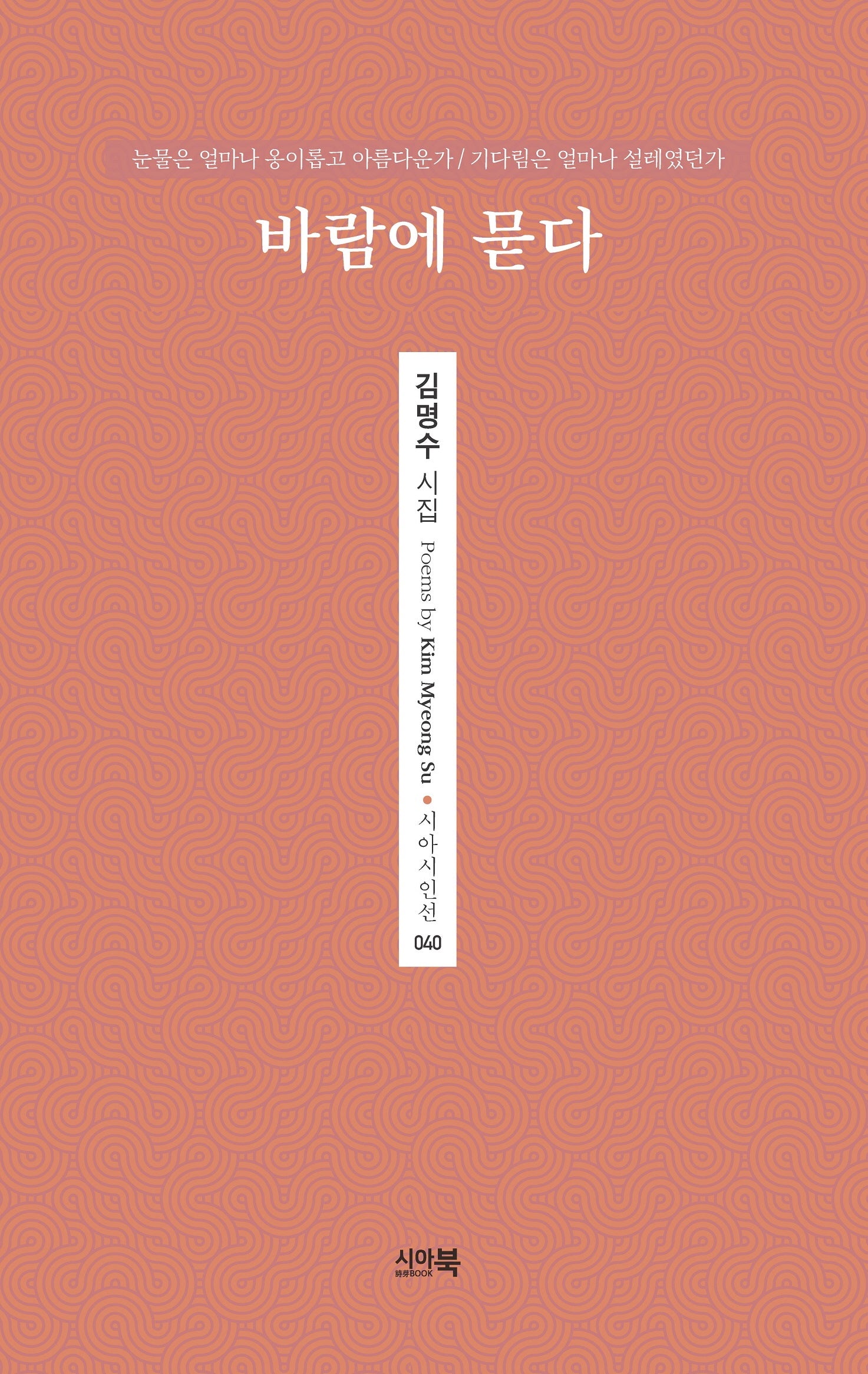 바람에 묻다(시아시인선 40)