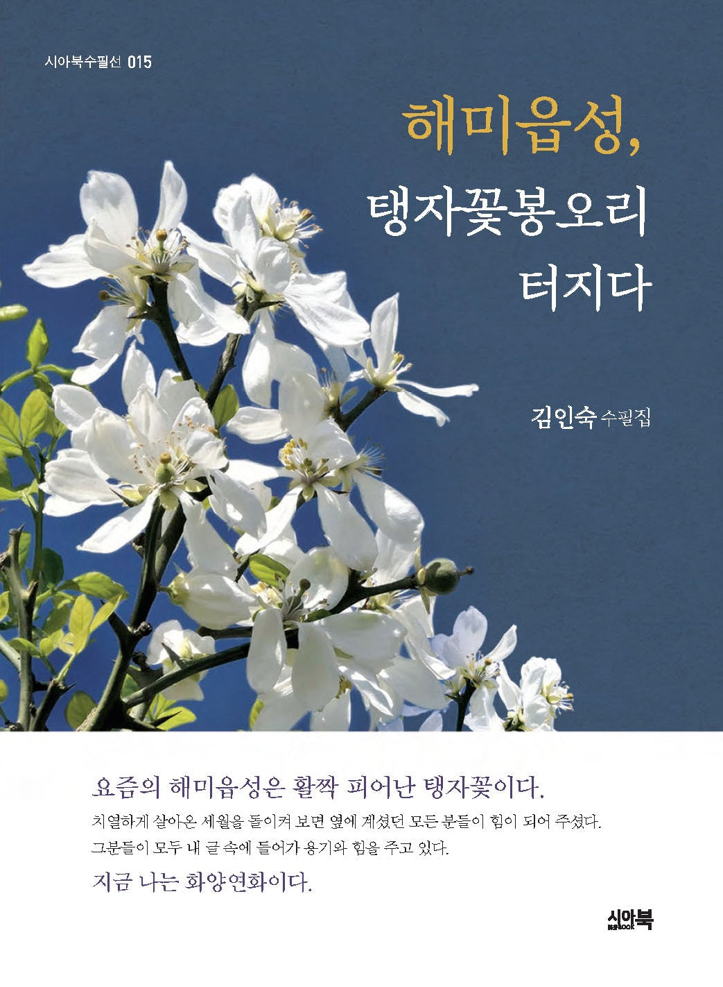 해미읍성, 탱자꽃봉오리 터지다(시아북수필선 15)