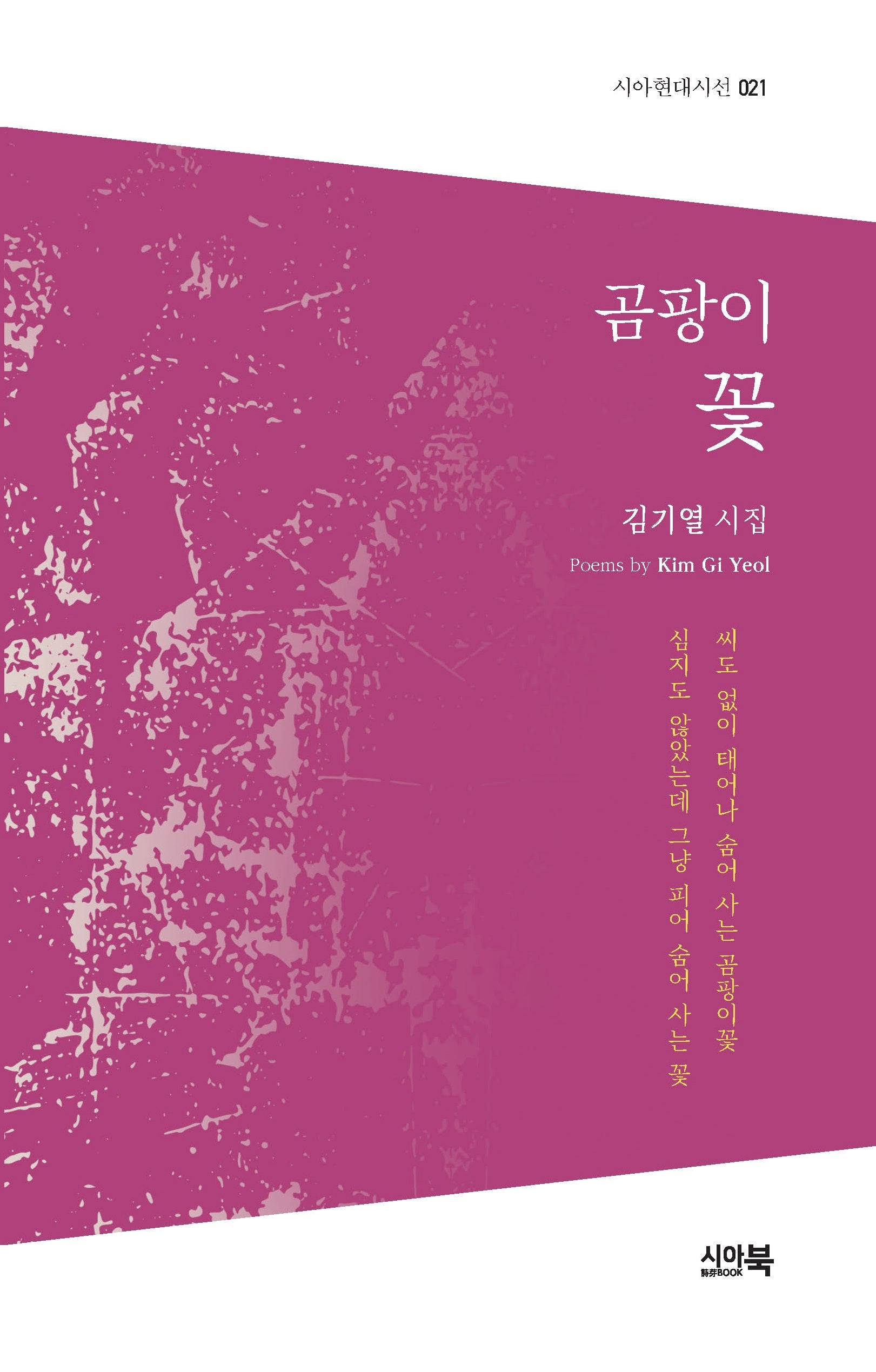 곰팡이 꽃(시아현대시선 21)