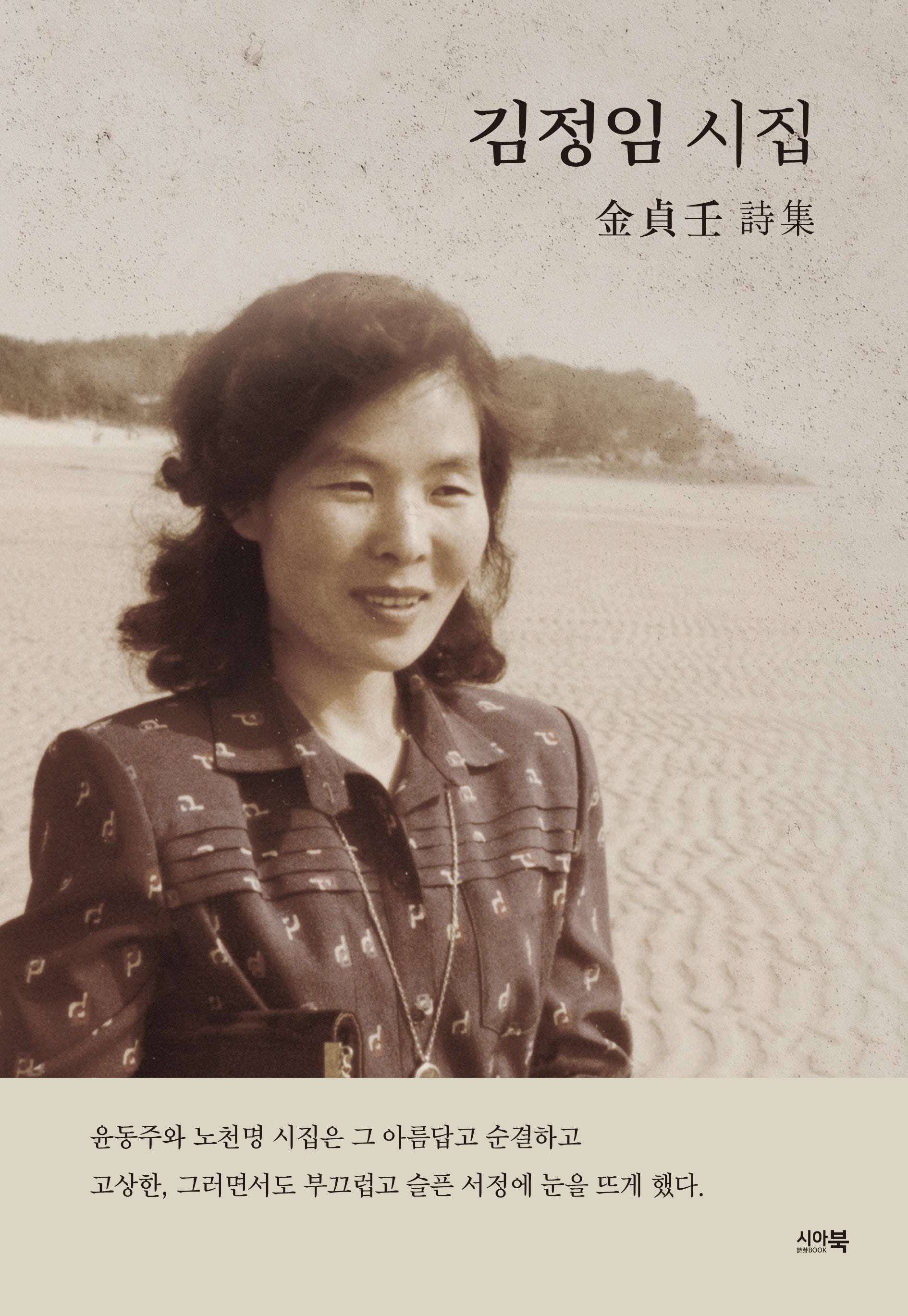 김정임 시집