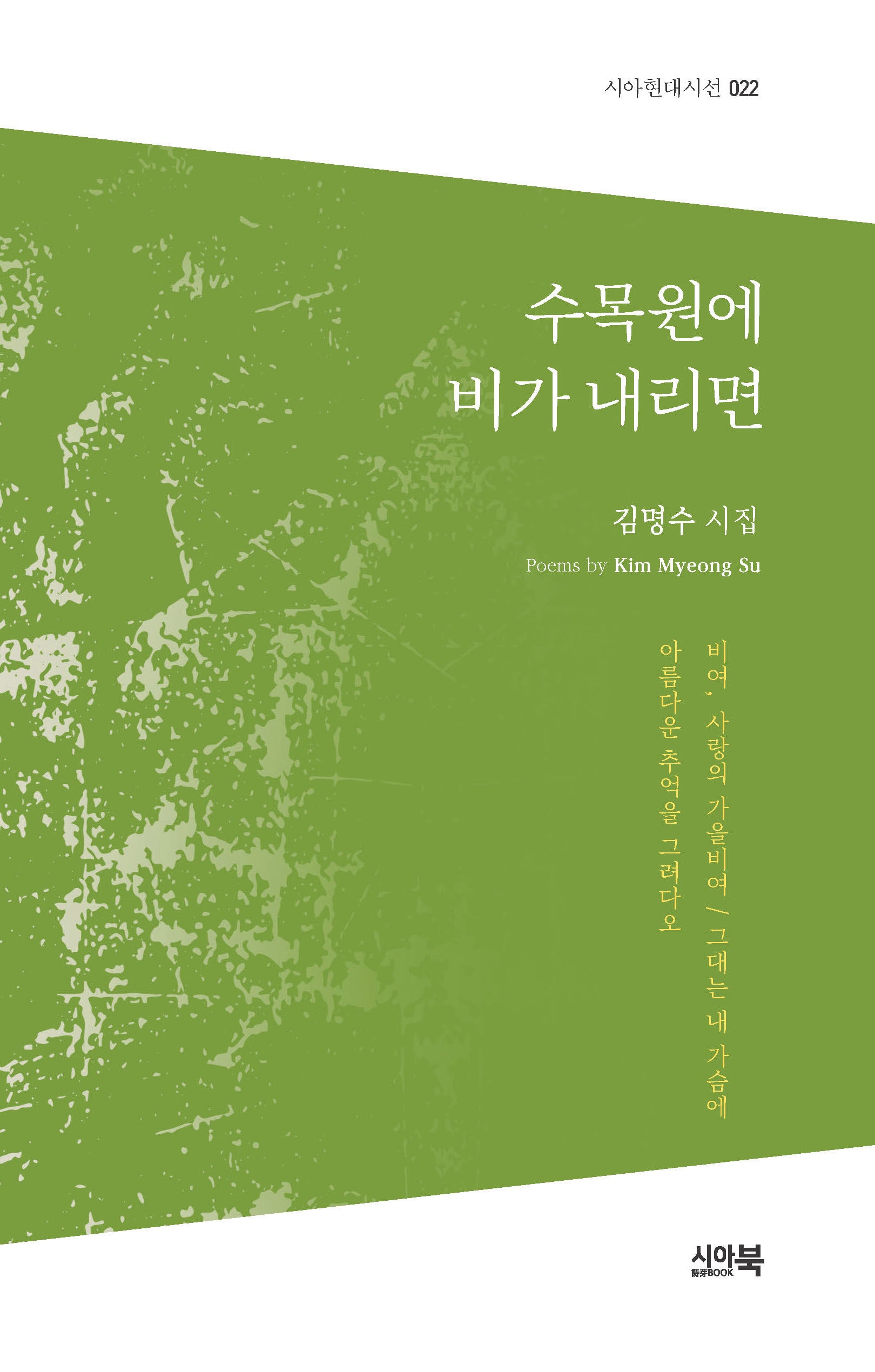 수목원에 비가 내리면(시아현대시선 22)