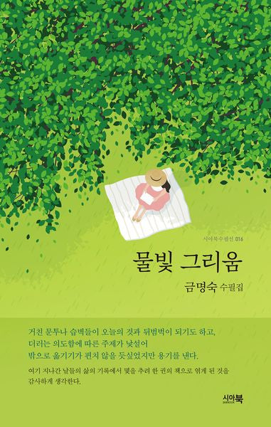 물빛 그리움(시아북수필선 16)