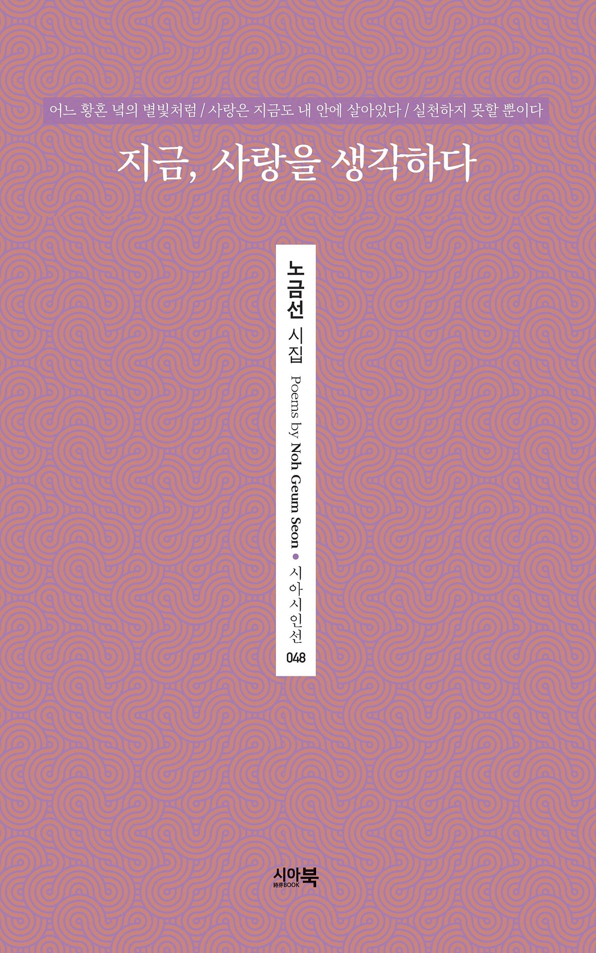 지금, 사랑을 생각하다(시아시인선 48)