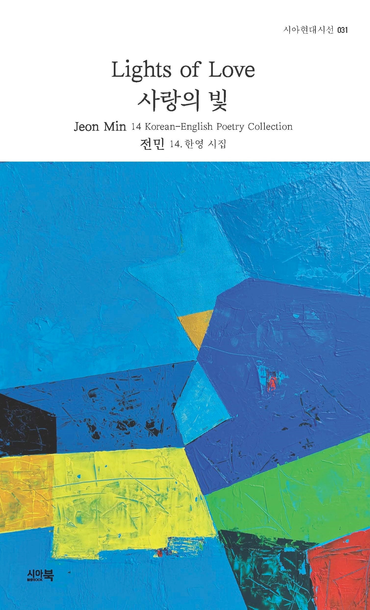 사랑의 빛(시아현대시선 31)