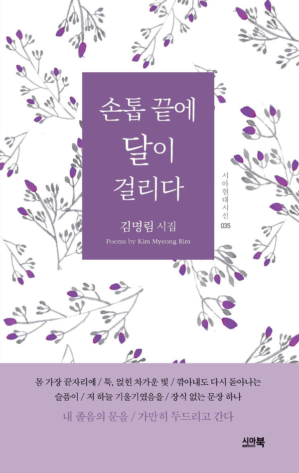 손톱 끝에 달이 걸리다