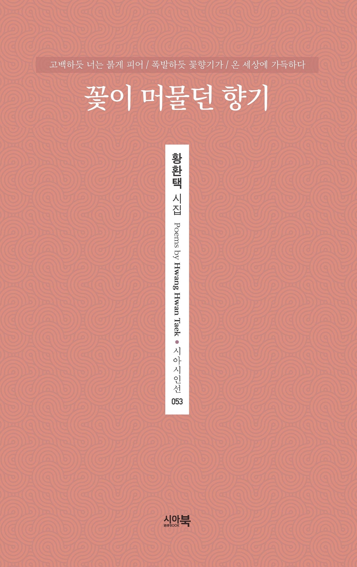 꽃이 머물던 향기(시아시인선 53)