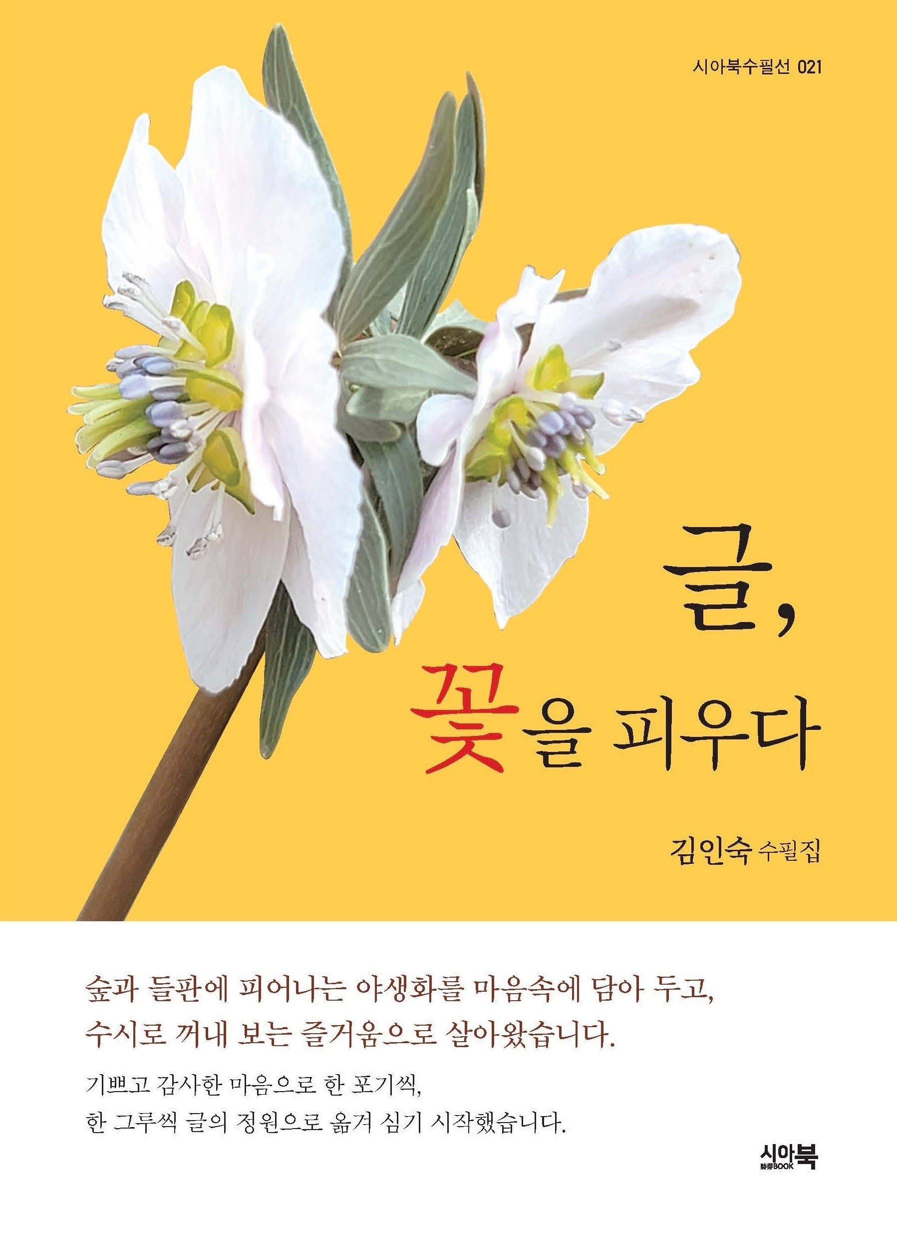 글, 꽃을 피우다