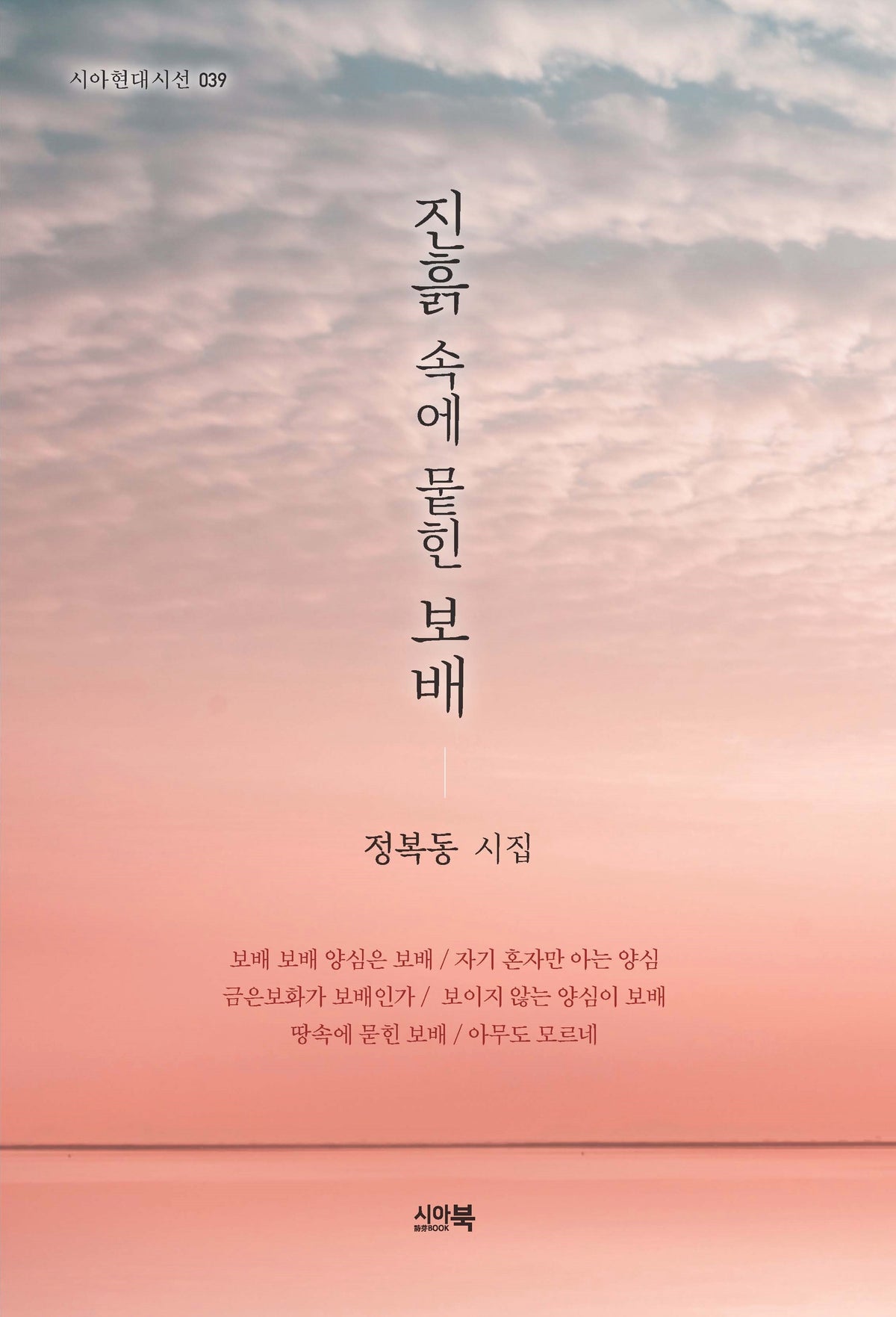 진흙 속에 묻힌 보배(시아현대시선 39)