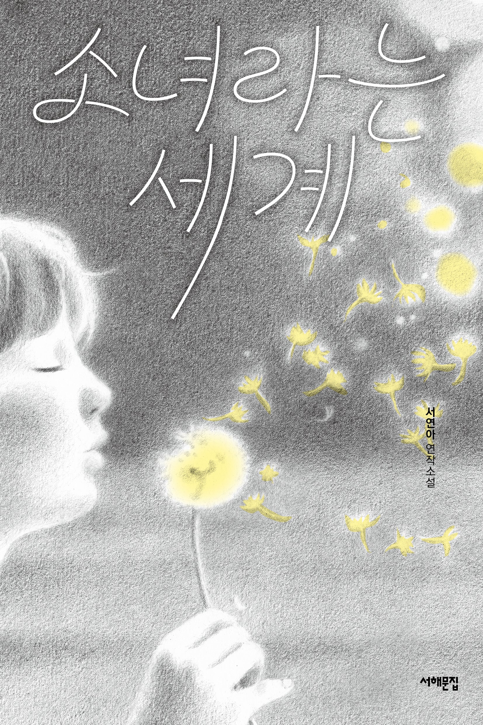 소녀라는 세계(서해문집 청소년문학 36)