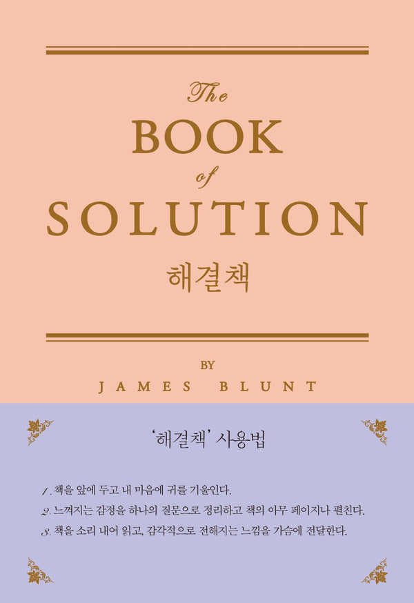 해결책