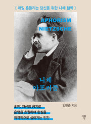 니체 아포리즘(포켓북(문고판))
