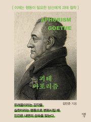 괴테 아포리즘(포켓북(문고판))