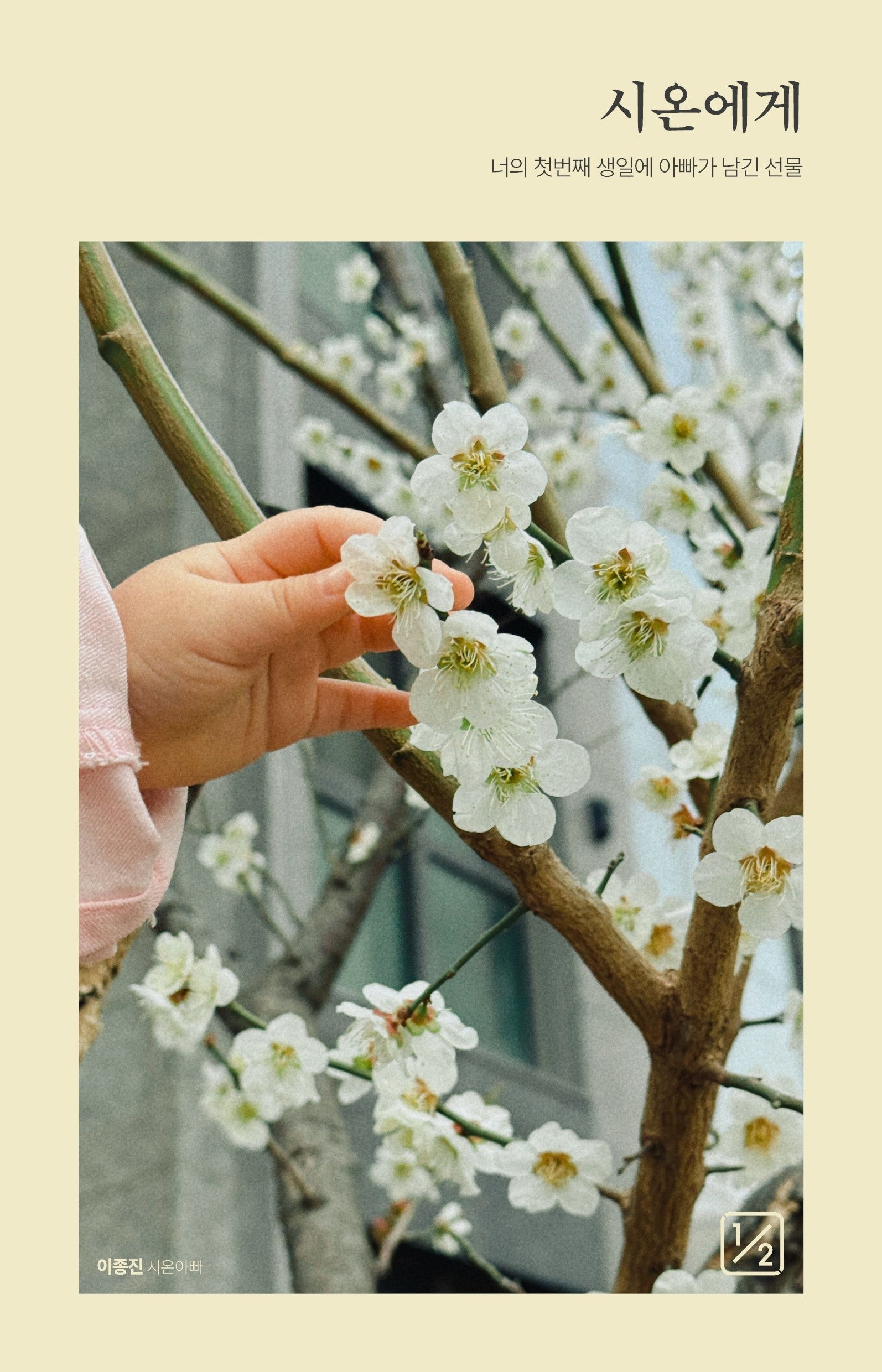 시온에게