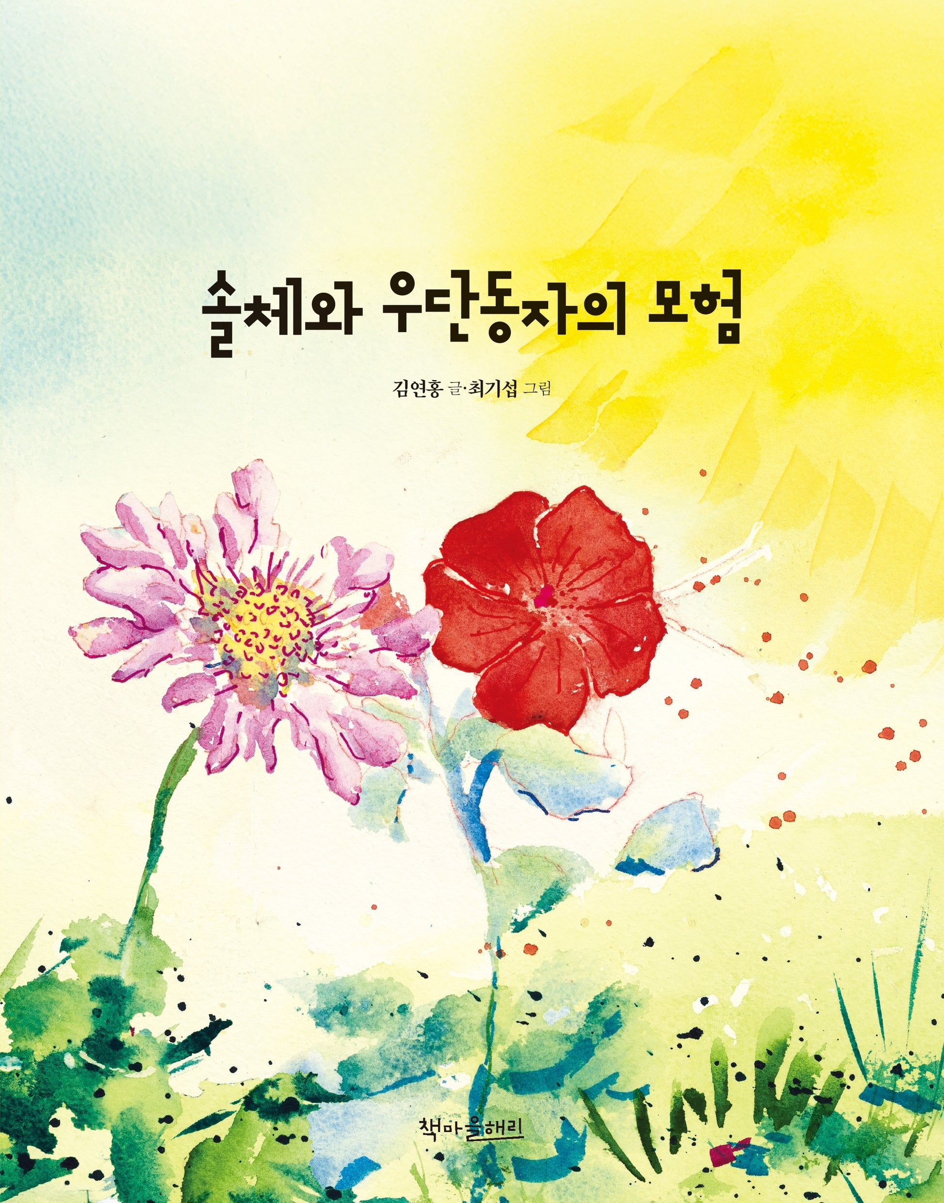솔체와 우단동자의 모험(양장본 Hardcover)