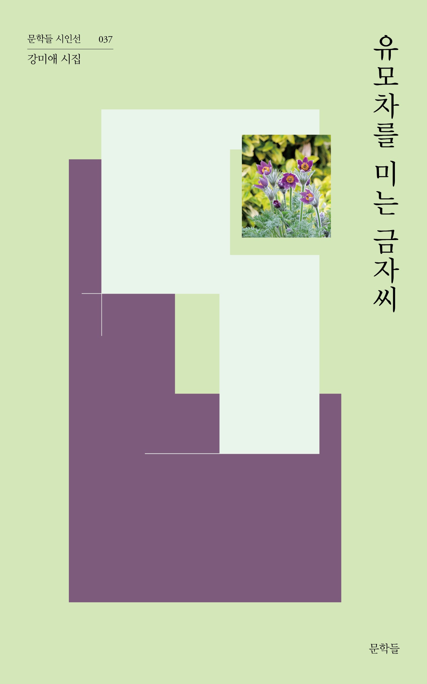 유모차를 미는 금자씨(문학들 시인선 37)(반양장)
