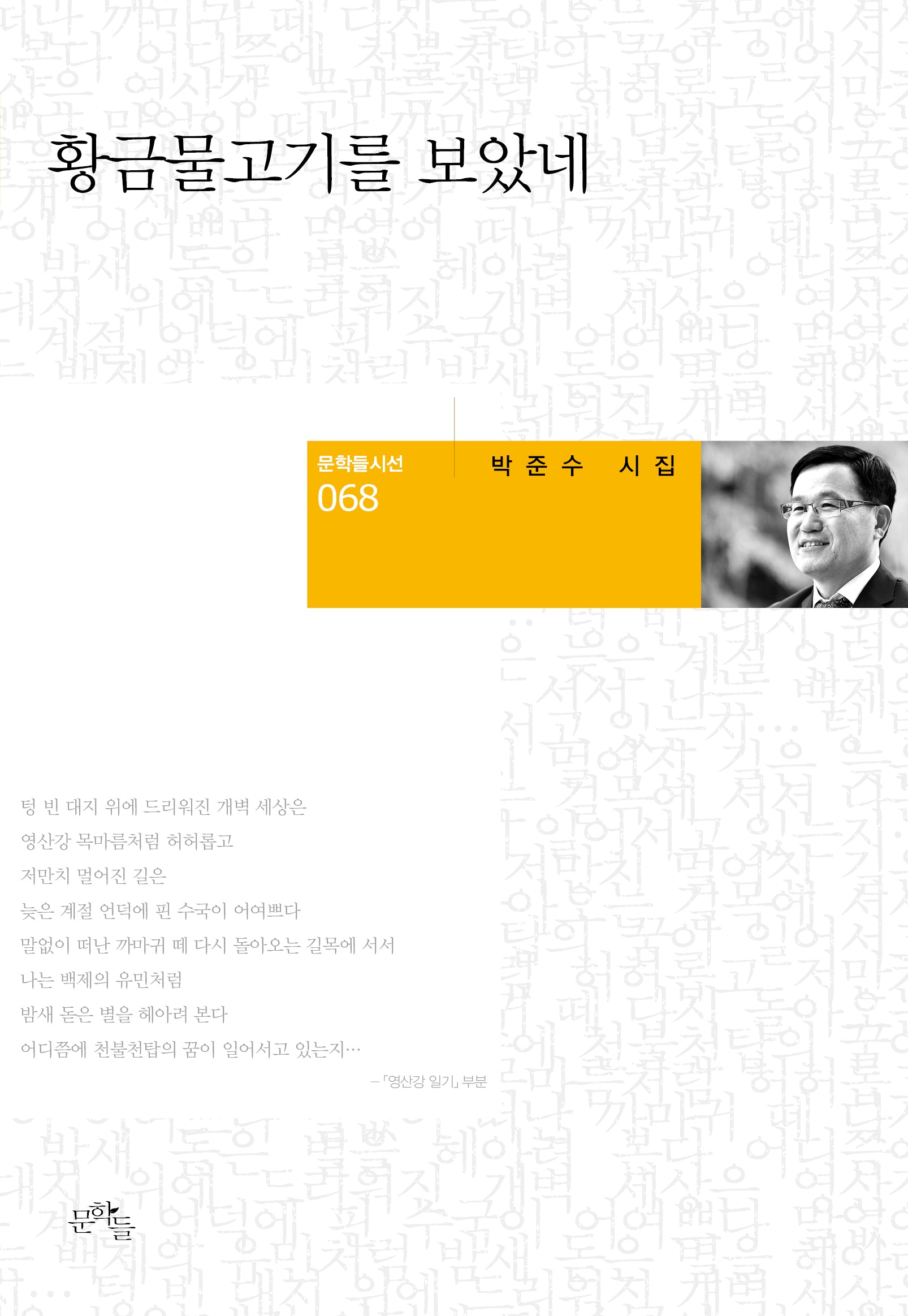황금물고기를 보았네(문학들시선 68)(양장본 Hardcover)