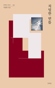 치밀한 빈틈(문학들 시인선 38)