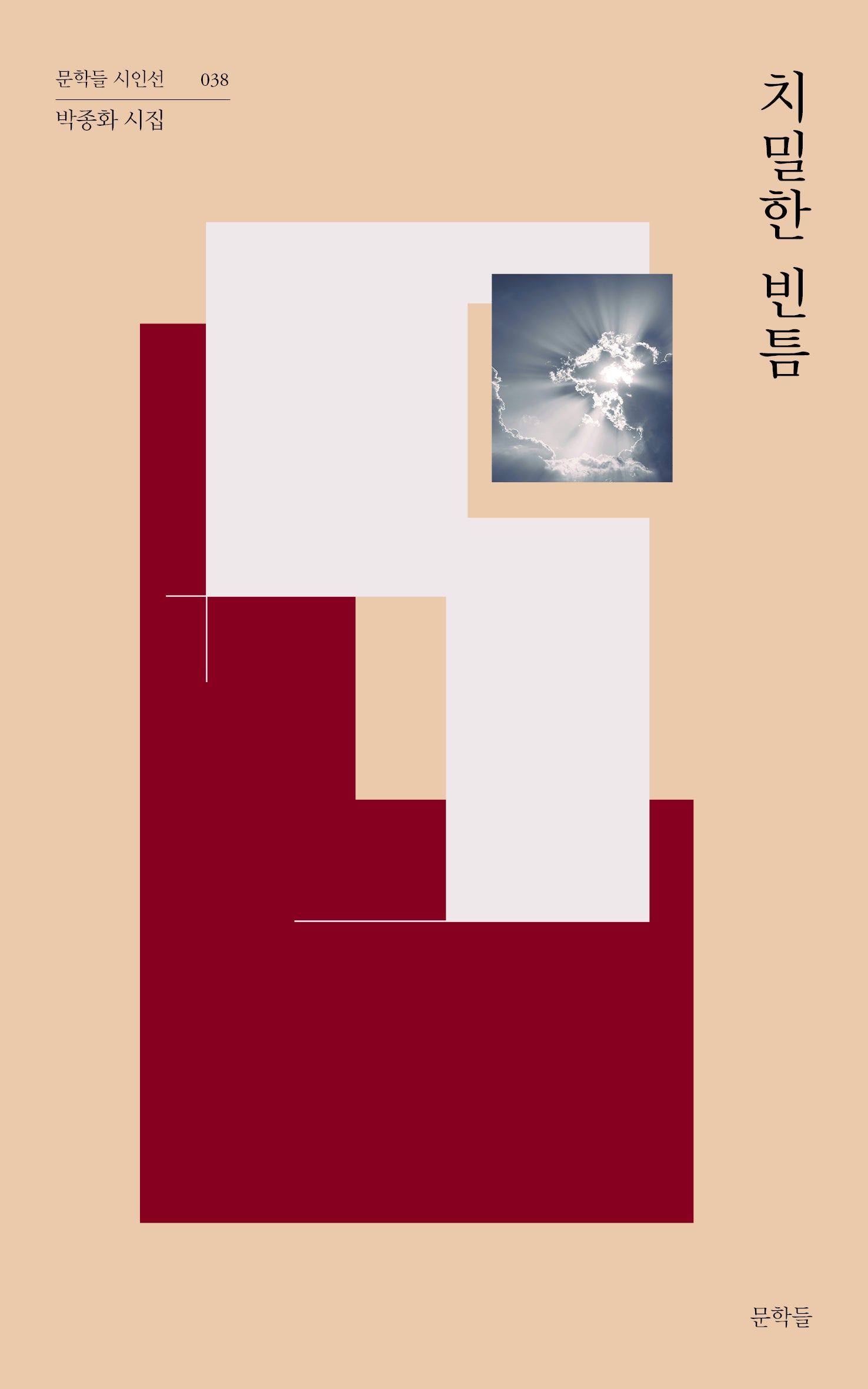 치밀한 빈틈(문학들 시인선 38)