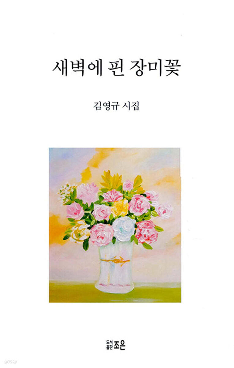 새벽에 핀 장미 꽃