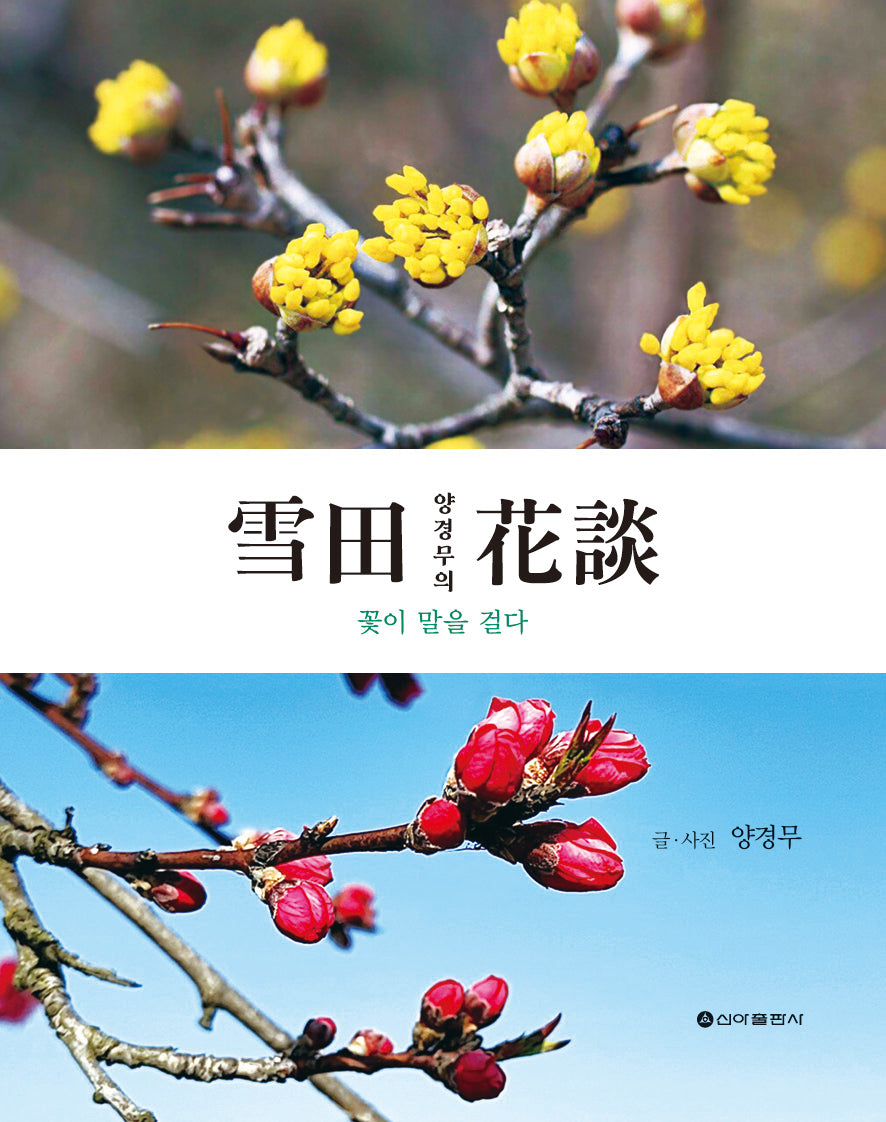 설전 양경무의 화담