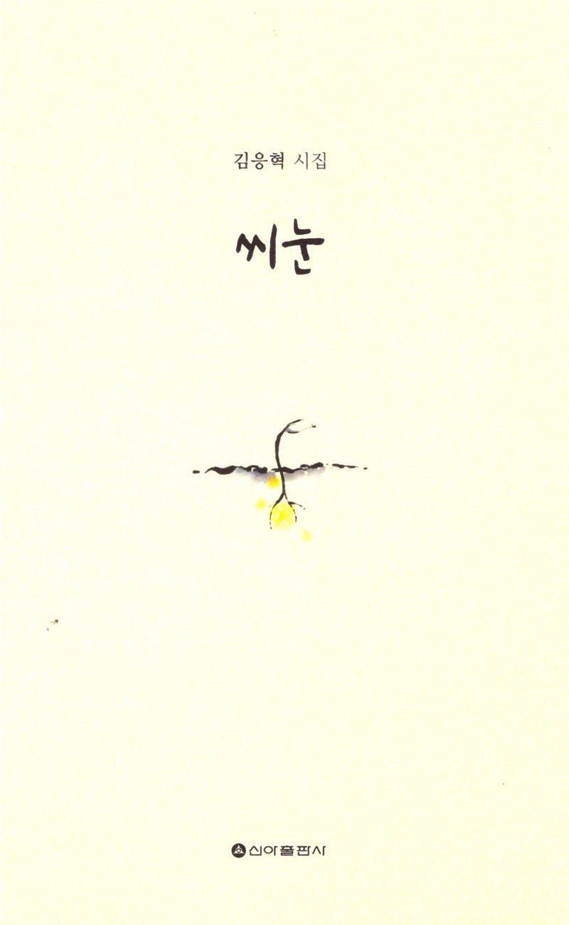 씨눈