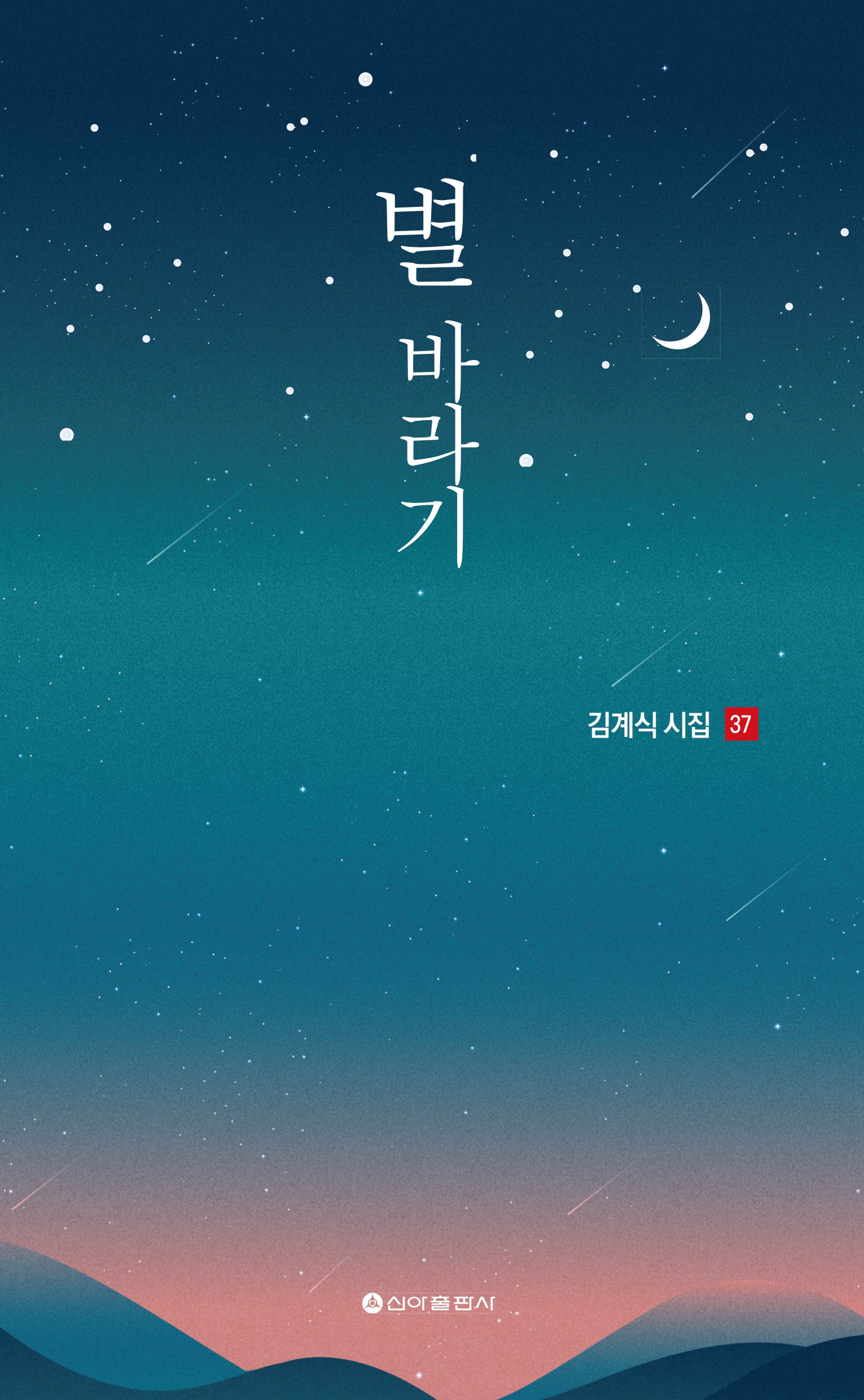 별바라기(김계식 시집 37)