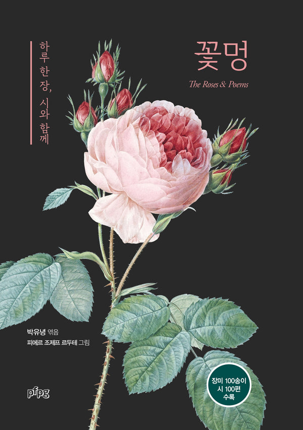 꽃멍(양장본 Hardcover)
