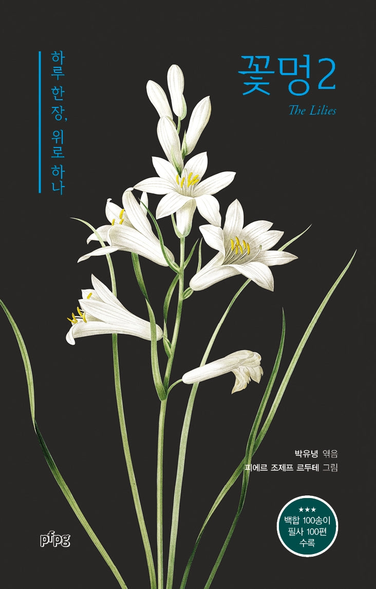 꽃멍2