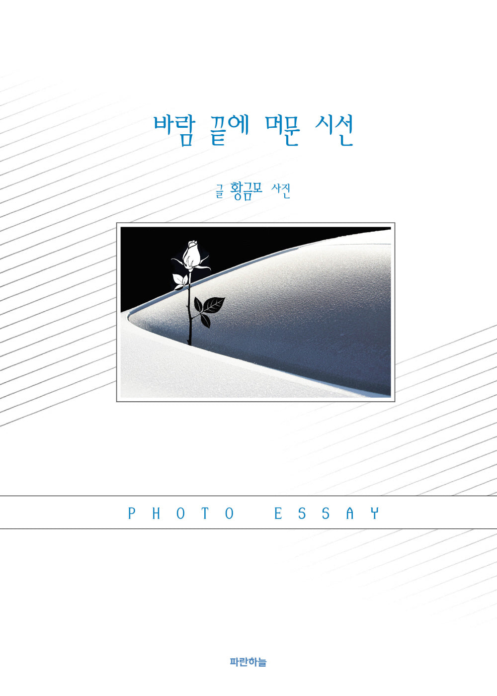 바람 끝에 머문 시선(공감하는공간 28)