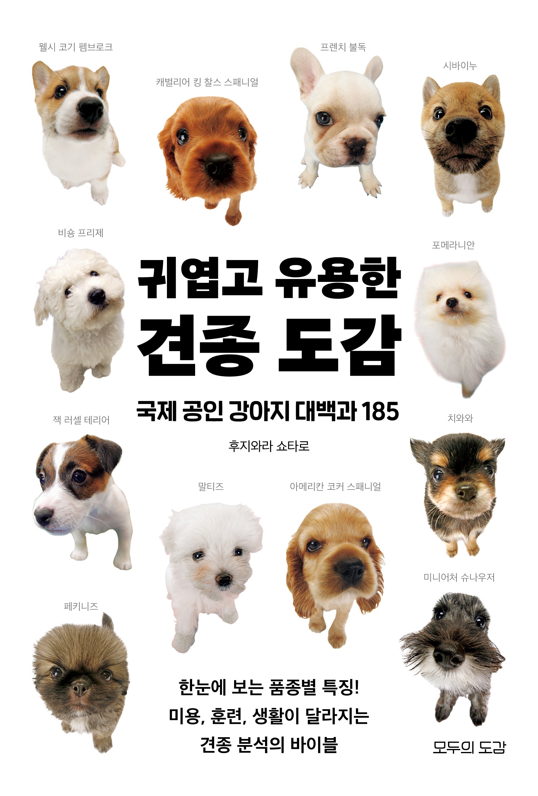 귀엽고 유용한 견종 도감