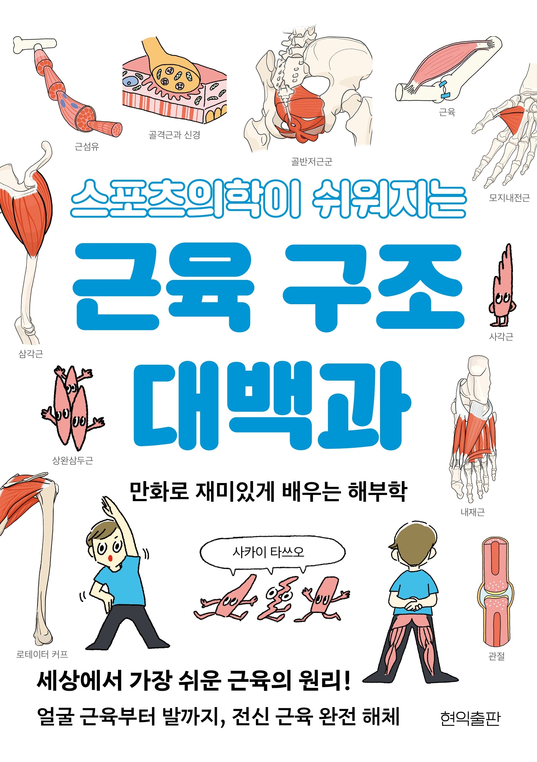 스포츠의학이 쉬워지는 근육 구조 대백과