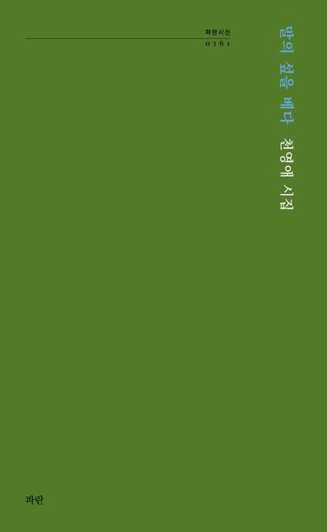 말의 섶을 베다(파란시선 161)