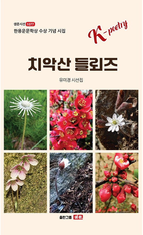 치악산 들뢰즈(샘문시선 1077)