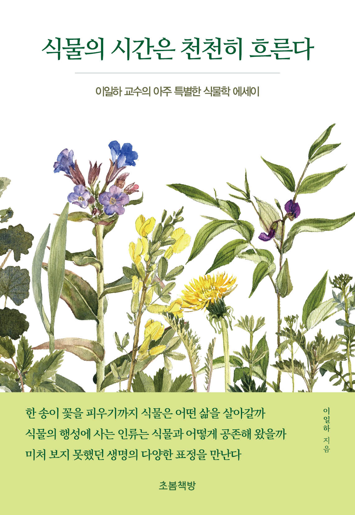 식물의 시간은 천천히 흐른다(지식벽돌)