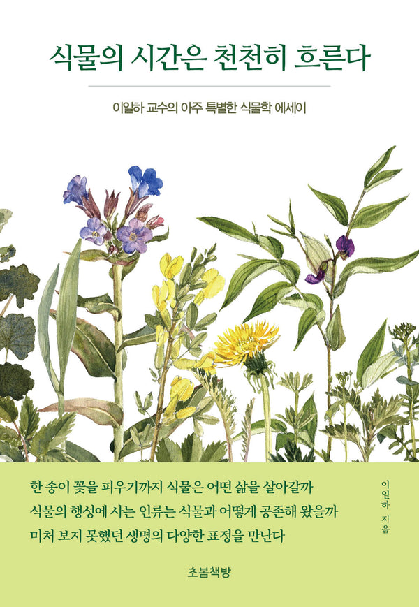 식물의 시간은 천천히 흐른다(지식벽돌)