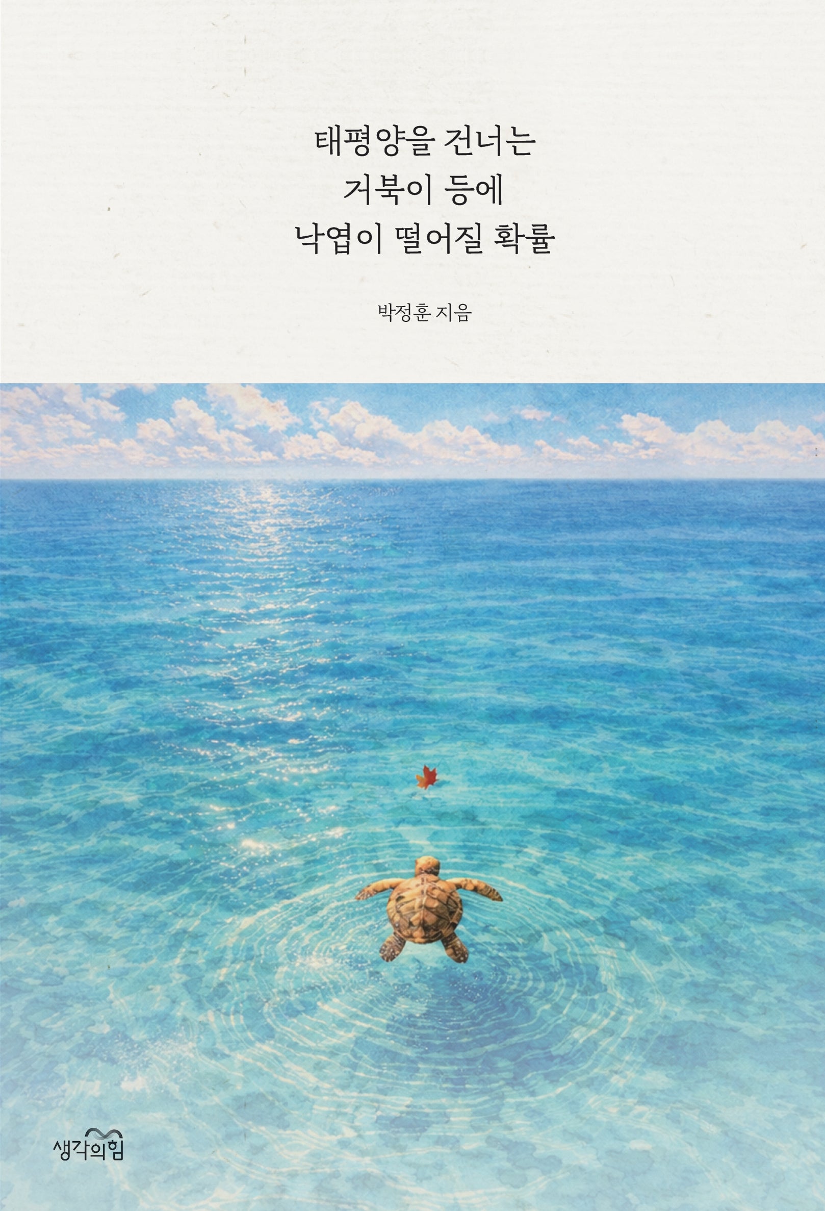 태평양을 건너는 거북이 등에 낙엽이 떨어질 확률(양장본 Hardcover)