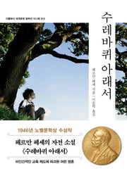 수레바퀴 아래서 미니북(더클래식 세계문학 컬렉션 미니북 12)