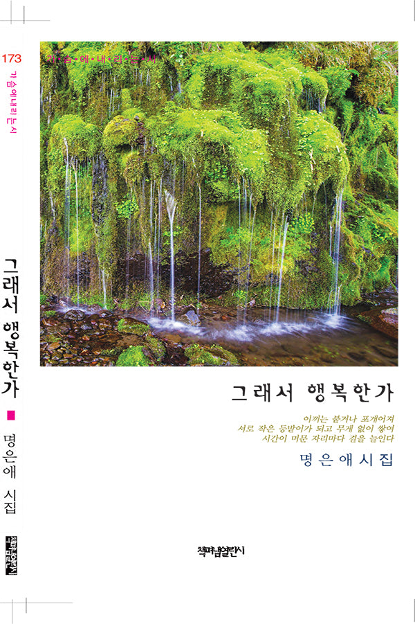 그래서 행복한가(가슴에내리는시 173)
