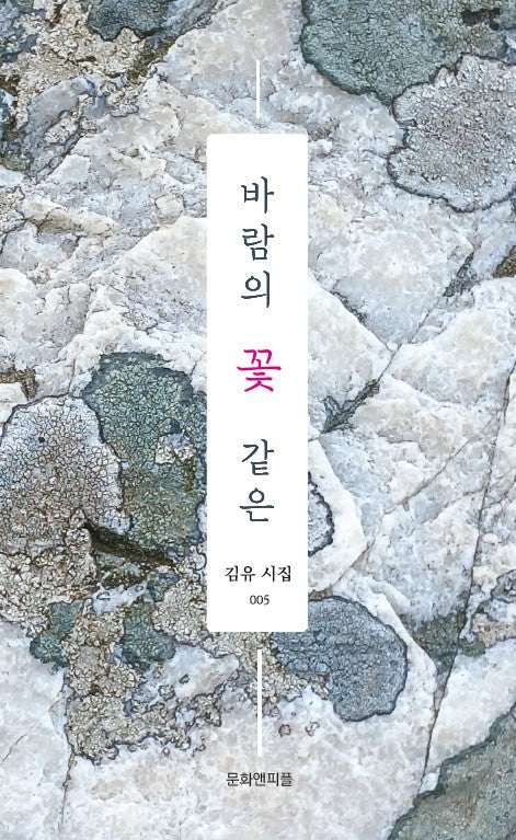 바람의 꽃 같은(김유 시집 5)