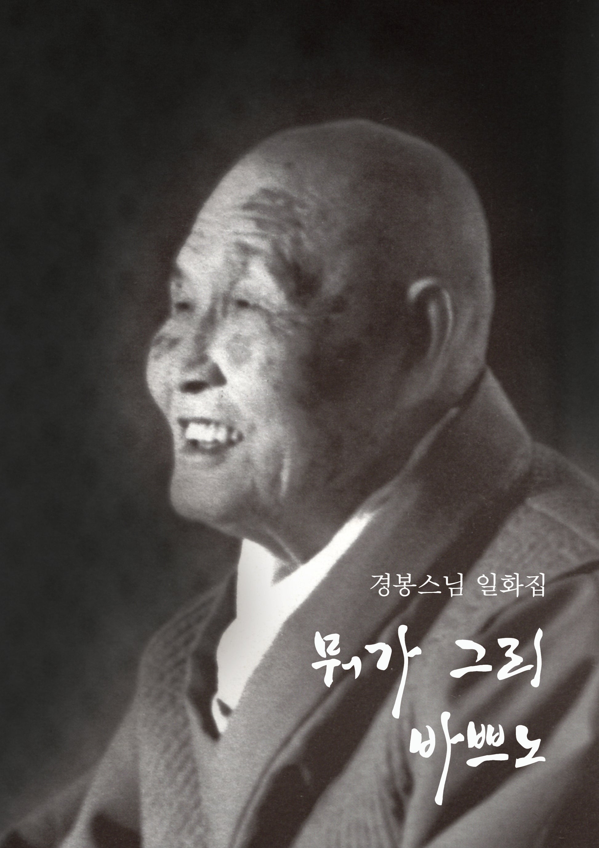 뭐가 그리 바쁘노(큰글자책)(큰글자불서 20)