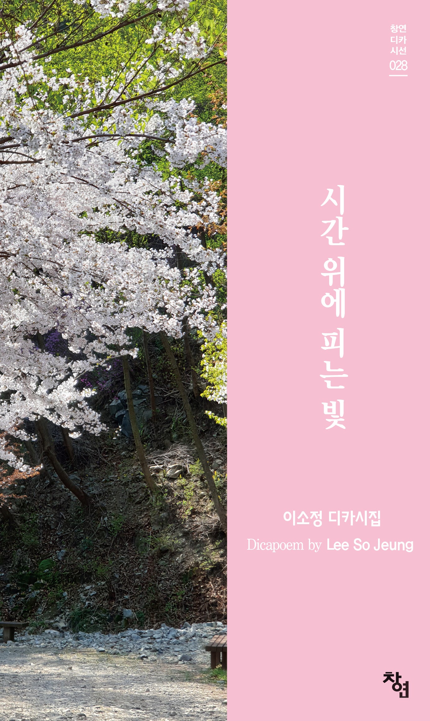시간 위에 피는 빛(창연디카시선 28)(양장본 Hardcover)
