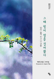 그때 빛이 말을 걸어왔다(창연디카시선 37)
