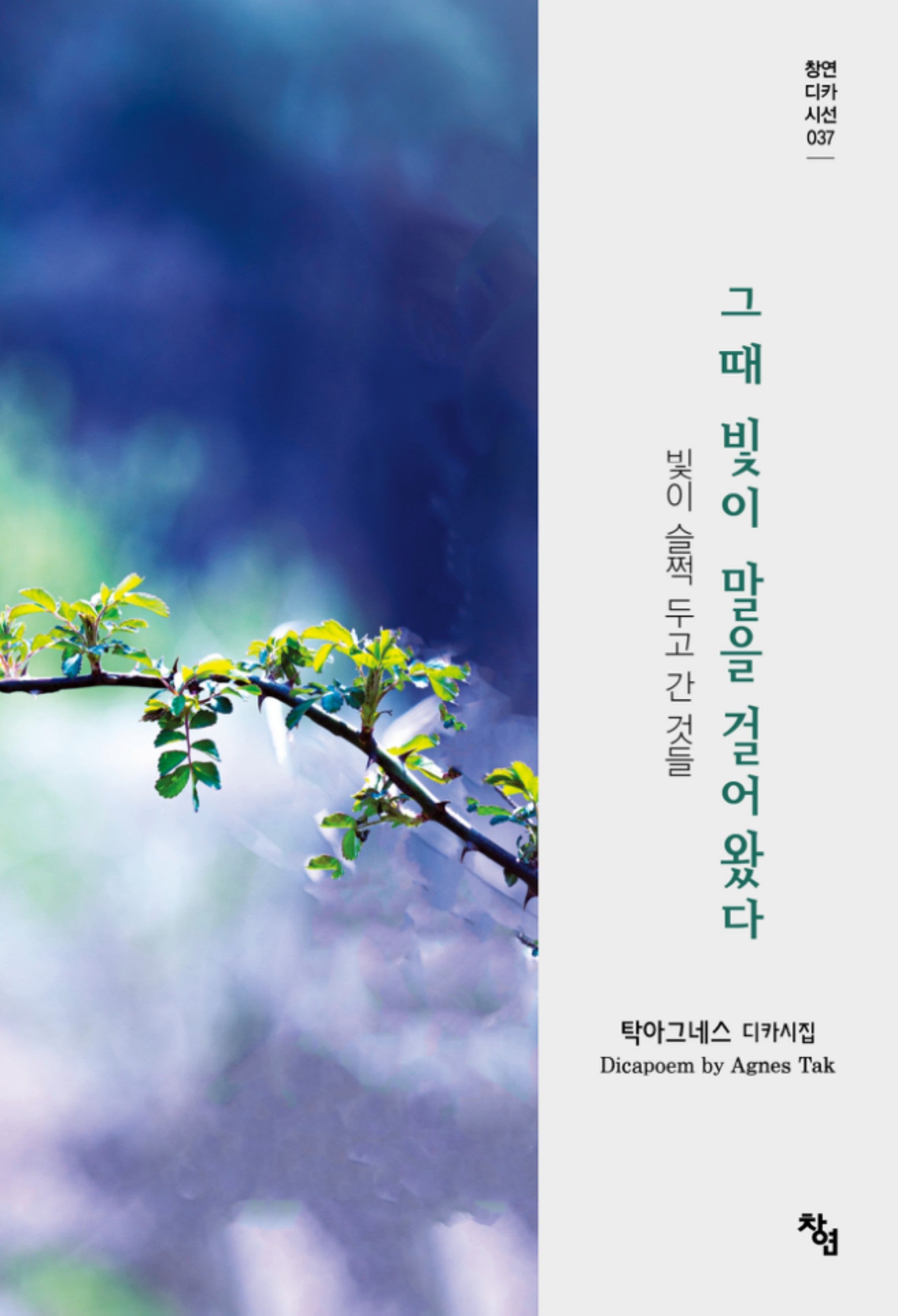 그때 빛이 말을 걸어왔다(창연디카시선 37)