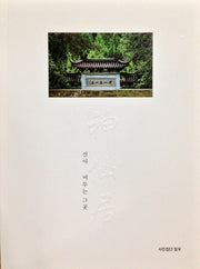 신선거