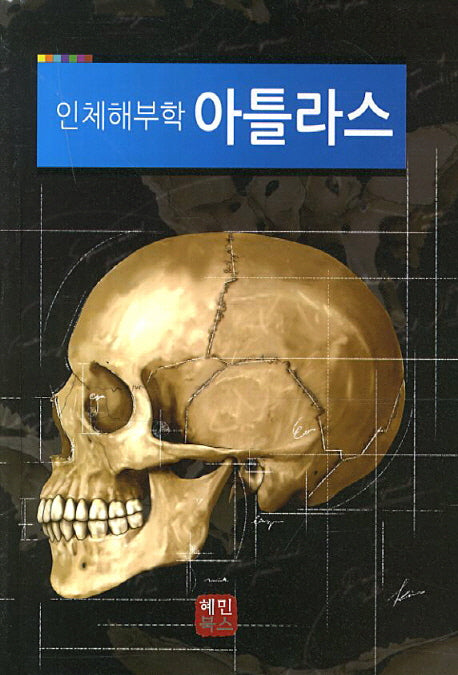 인체해부학 아틀라스(양장본 HardCover)