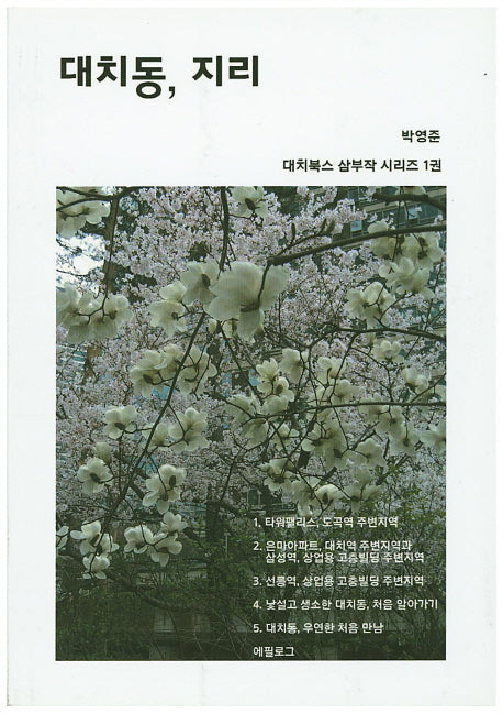 대치동, 지리(대치북스 삼부작 시리즈 1)