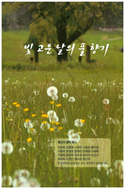빛 고운 날의 풀 향기